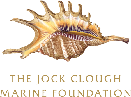 Jock Clough Marine Foundation